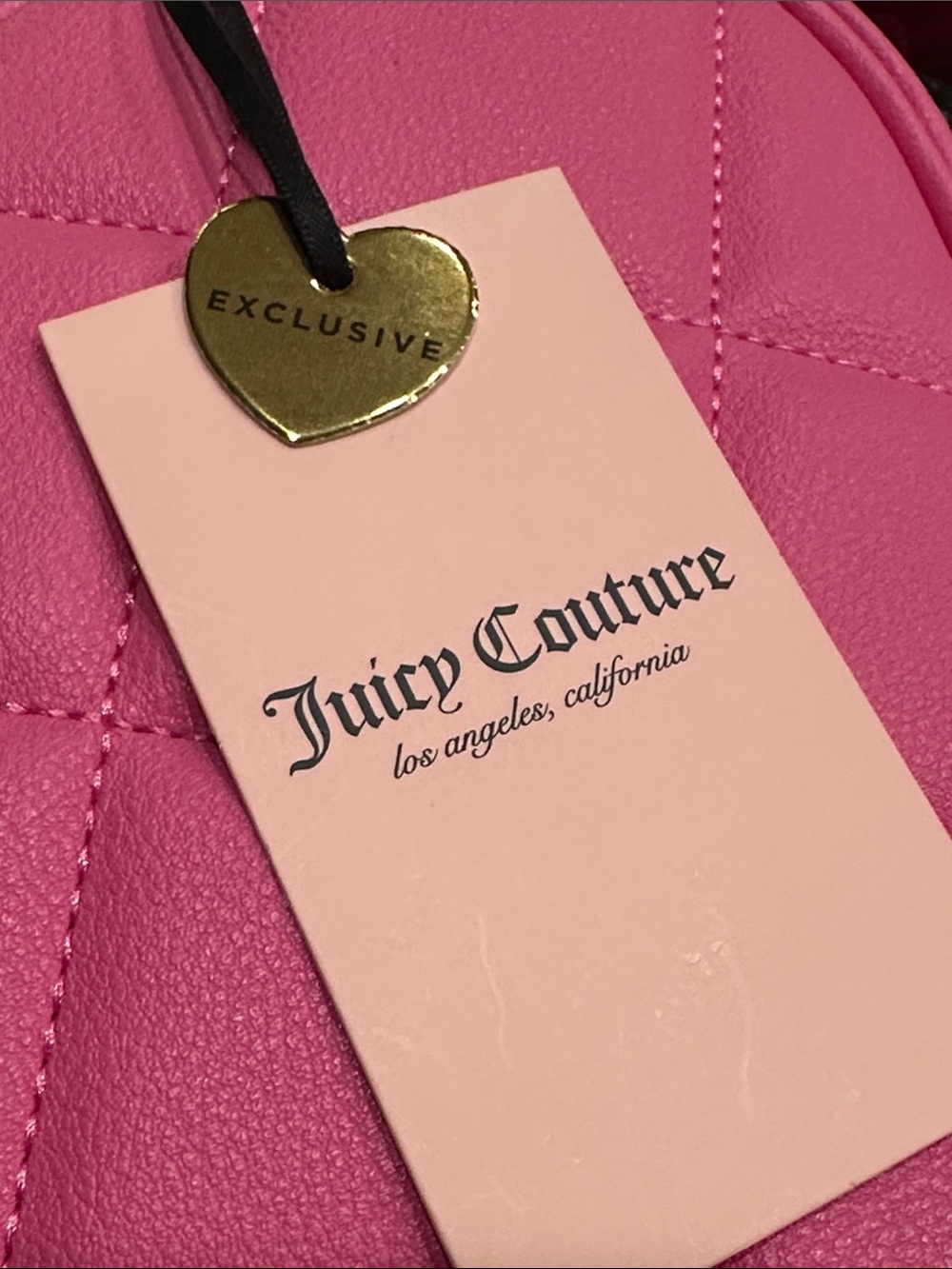 Juicy Couture Crossbody - Picture 7 of 8